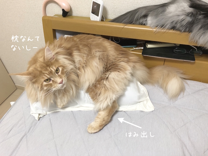 f:id:chikojirou:20190905220657j:plain