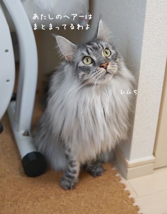 f:id:chikojirou:20190906220538j:plain