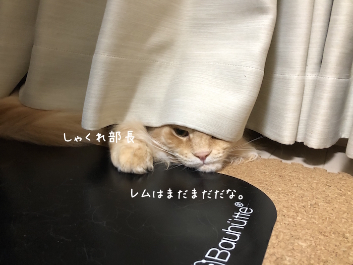f:id:chikojirou:20190906220557j:plain