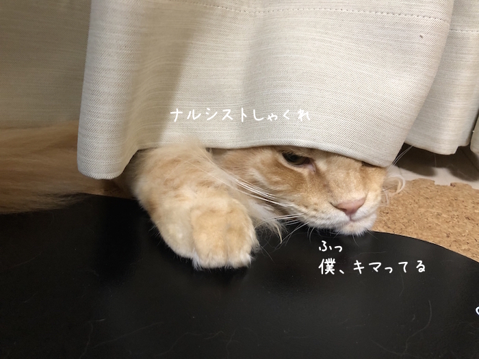 f:id:chikojirou:20190906220604j:plain