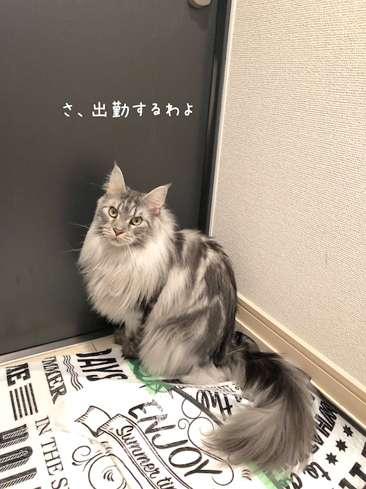 f:id:chikojirou:20190906220615j:plain