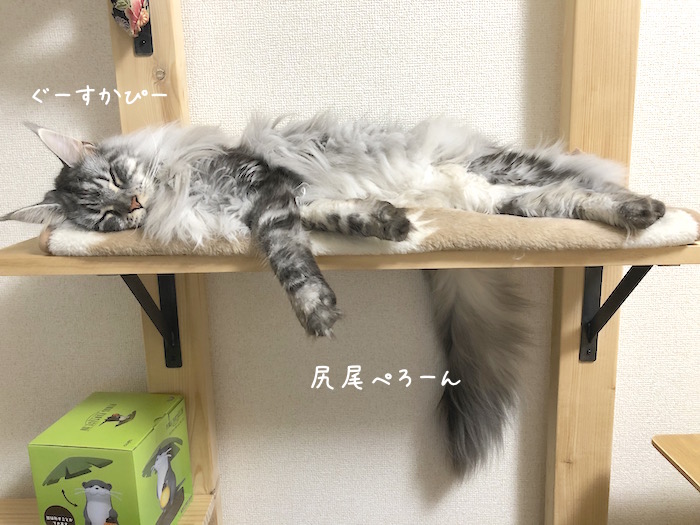 f:id:chikojirou:20190925215412j:plain