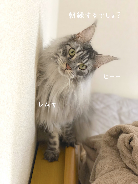f:id:chikojirou:20190926212540j:plain