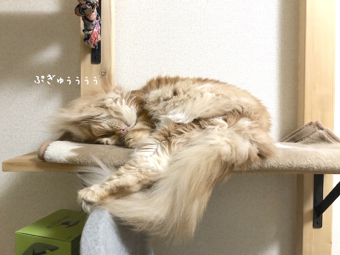f:id:chikojirou:20190926212555j:plain