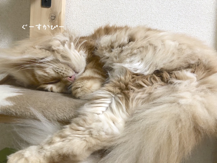 f:id:chikojirou:20190926212557j:plain