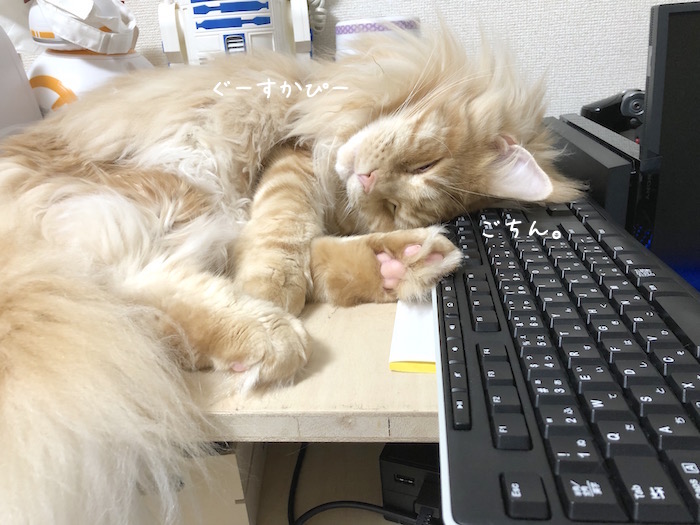 f:id:chikojirou:20190926212602j:plain