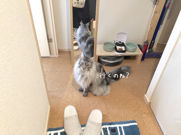 f:id:chikojirou:20190926212605j:plain