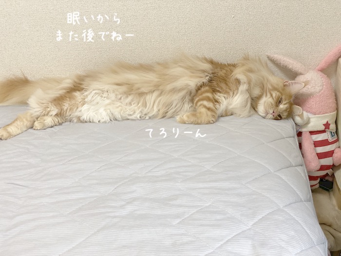 f:id:chikojirou:20191003212903j:plain