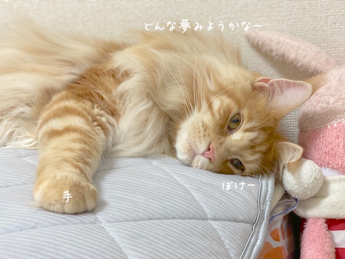 f:id:chikojirou:20191003212907j:plain