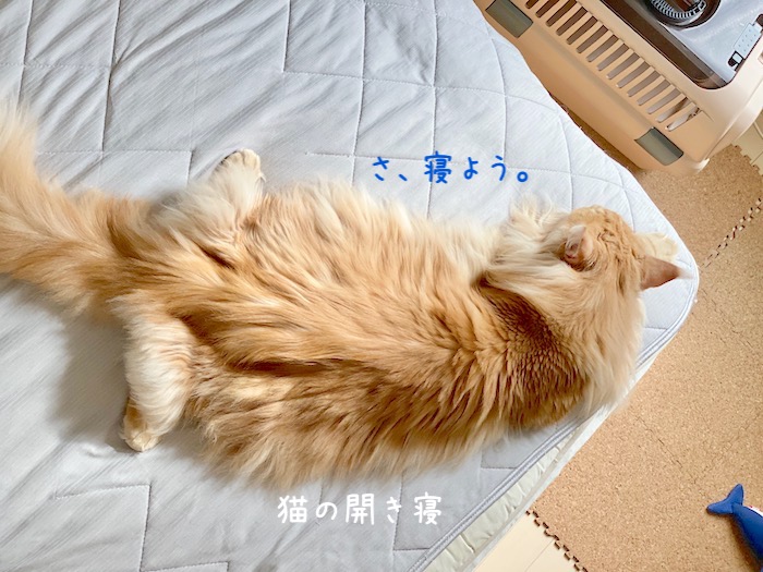 f:id:chikojirou:20191003212921j:plain
