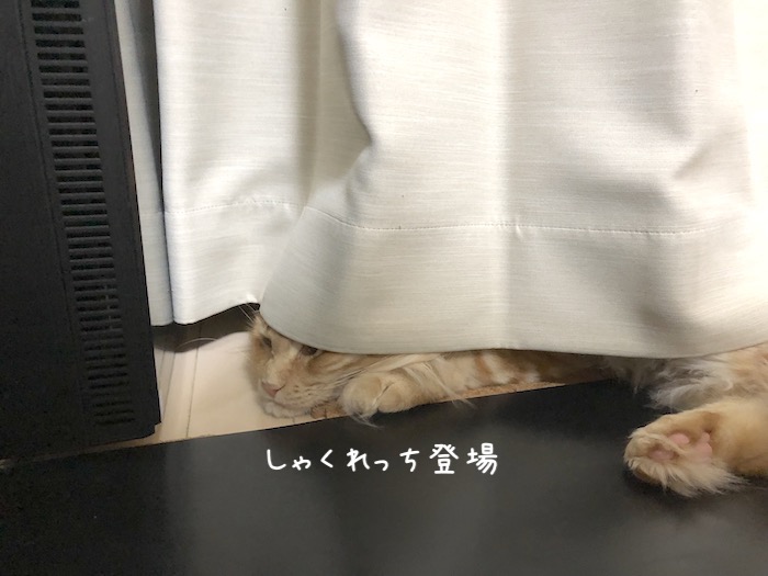 f:id:chikojirou:20191003212929j:plain