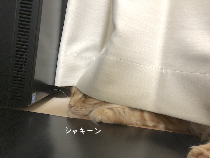 f:id:chikojirou:20191003212933j:plain