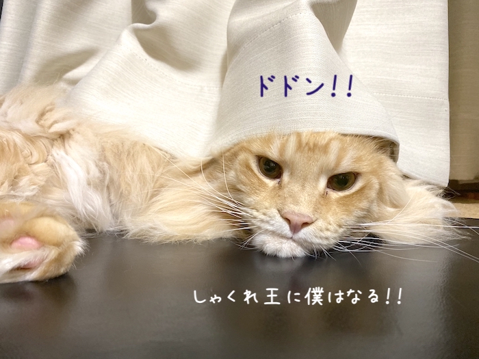 f:id:chikojirou:20191008213459j:plain