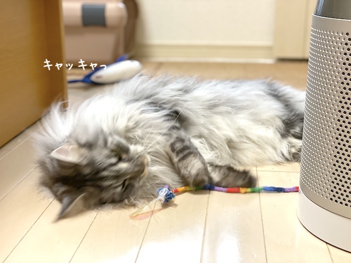 f:id:chikojirou:20191008213503j:plain