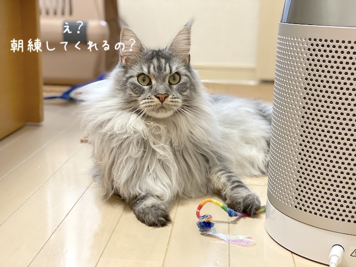 f:id:chikojirou:20191008213506j:plain