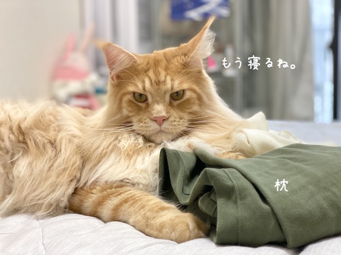 f:id:chikojirou:20191008213523j:plain