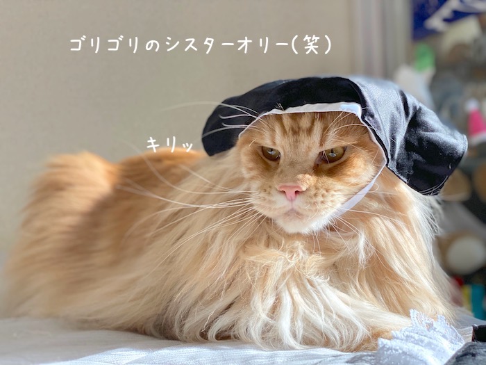 f:id:chikojirou:20191009215928j:plain