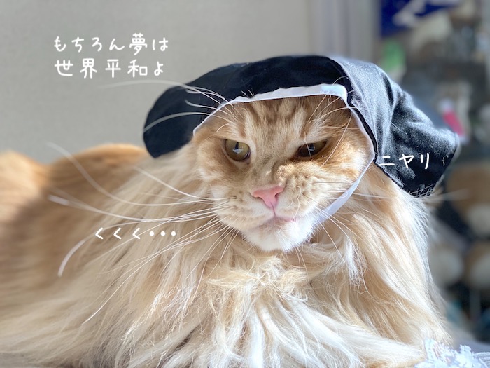 f:id:chikojirou:20191009215931j:plain