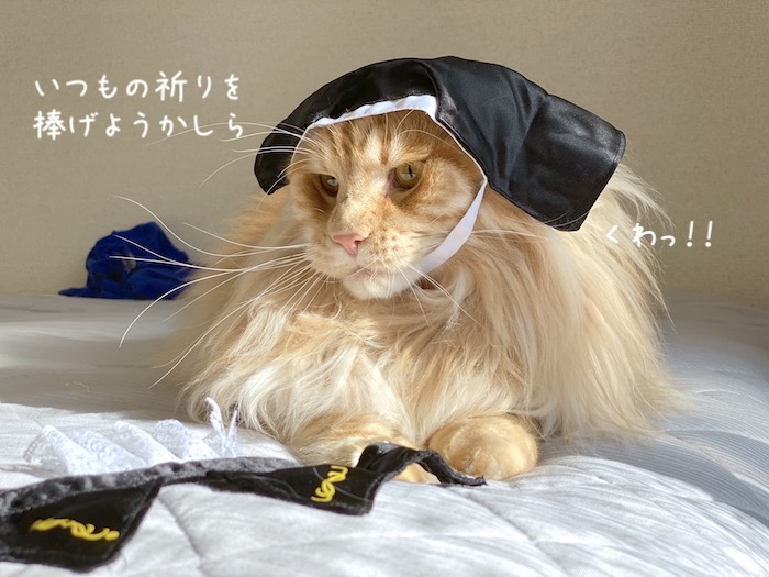 f:id:chikojirou:20191009215934j:plain