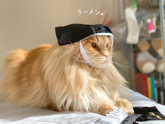 f:id:chikojirou:20191009215937j:plain