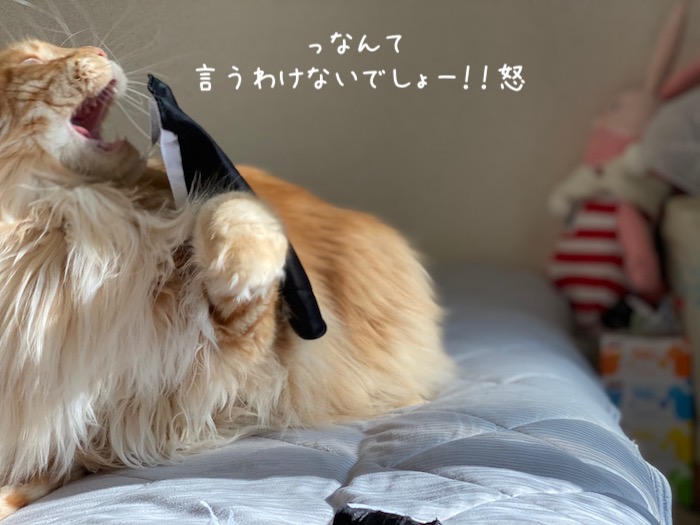 f:id:chikojirou:20191009215940j:plain
