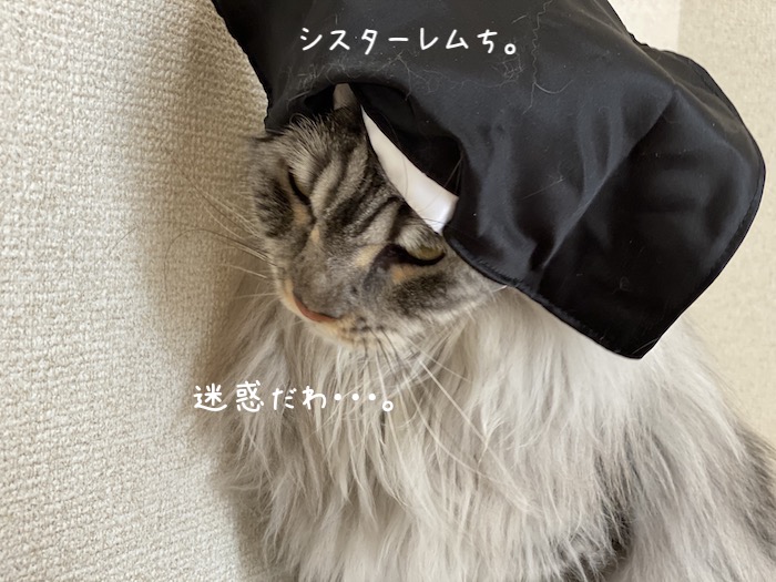 f:id:chikojirou:20191009215942j:plain