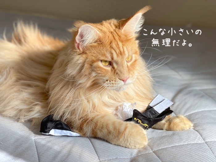 f:id:chikojirou:20191009215957j:plain