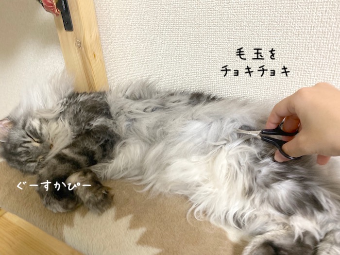 f:id:chikojirou:20191015220459j:plain