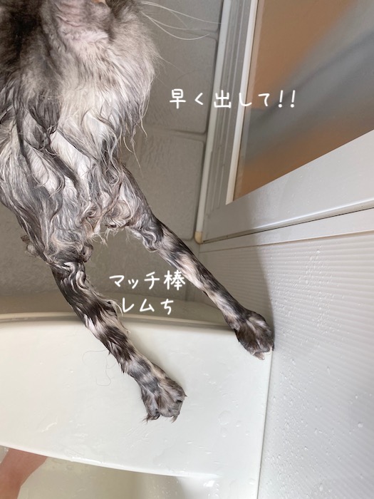 f:id:chikojirou:20191015220518j:plain
