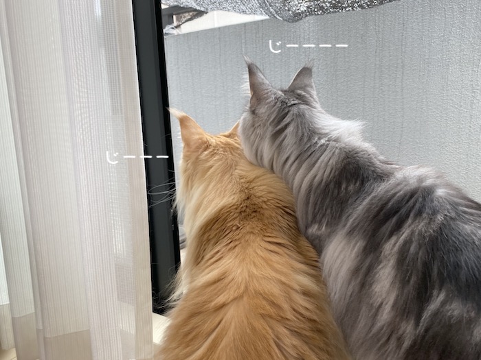 f:id:chikojirou:20191015220602j:plain