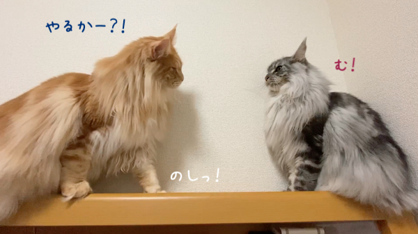 f:id:chikojirou:20191118213417p:plain