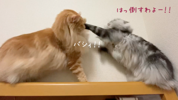 f:id:chikojirou:20191118213428p:plain