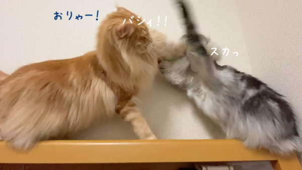 f:id:chikojirou:20191118213432p:plain