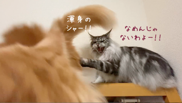 f:id:chikojirou:20191118213448p:plain