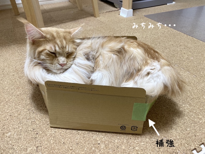 f:id:chikojirou:20191202214740j:plain