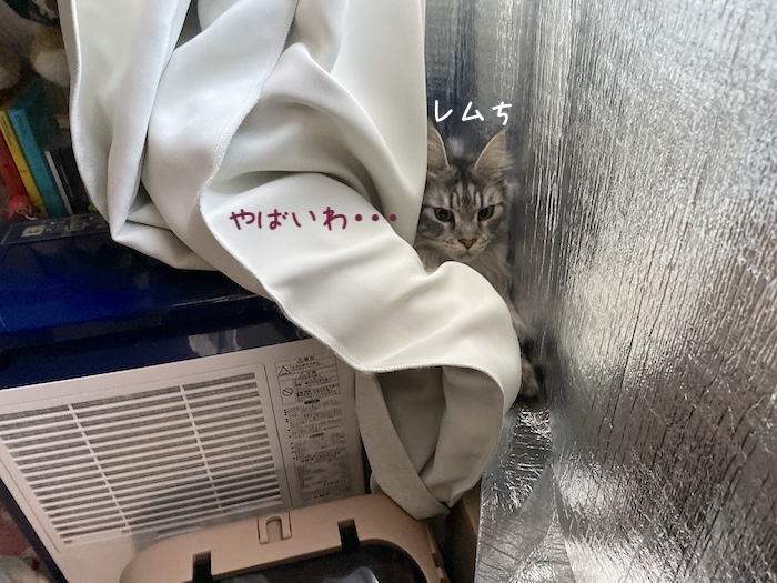 f:id:chikojirou:20191209214207j:plain