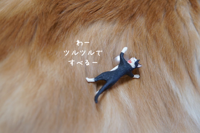 f:id:chikojirou:20191209214213j:plain