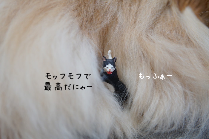 f:id:chikojirou:20191209214216j:plain