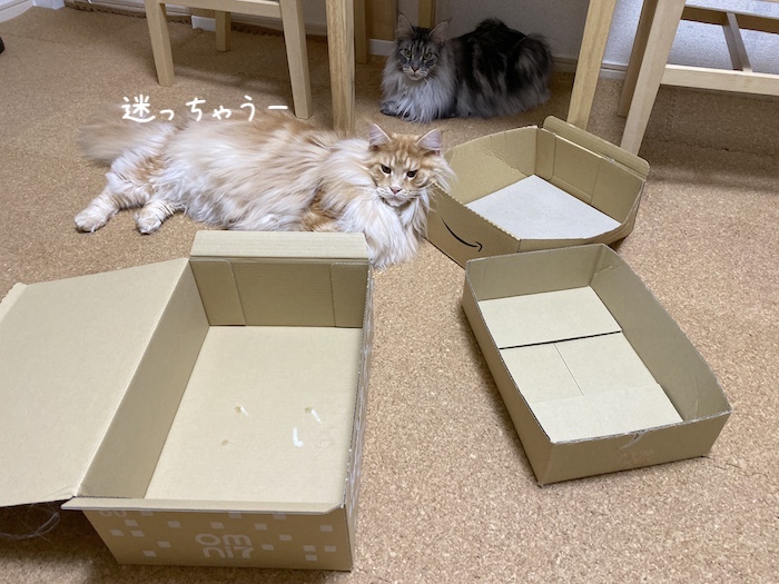 f:id:chikojirou:20191209214218j:plain