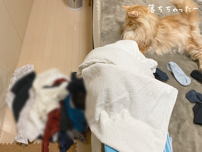 f:id:chikojirou:20191210215906j:plain