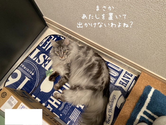 f:id:chikojirou:20191210215909j:plain