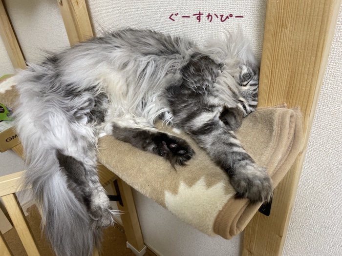 f:id:chikojirou:20191210215928j:plain