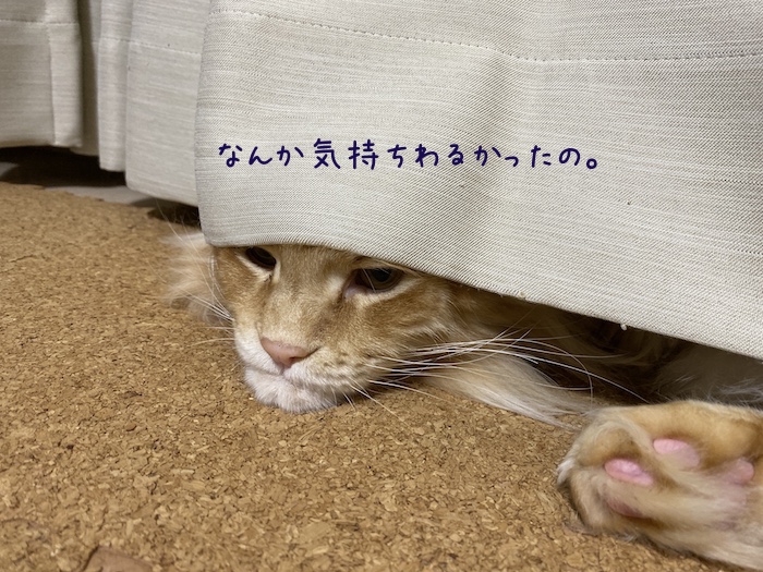 f:id:chikojirou:20191216213503j:plain