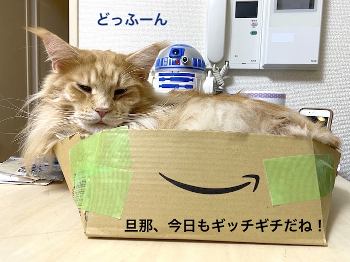 f:id:chikojirou:20200107215100j:plain f:id:chikojirou:20200107215100j:plain