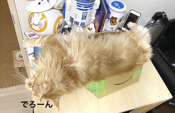 f:id:chikojirou:20200107215103j:plain f:id:chikojirou:20200107215103j:plain