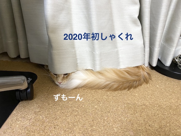 f:id:chikojirou:20200108220348j:plain