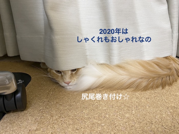 f:id:chikojirou:20200108220355j:plain
