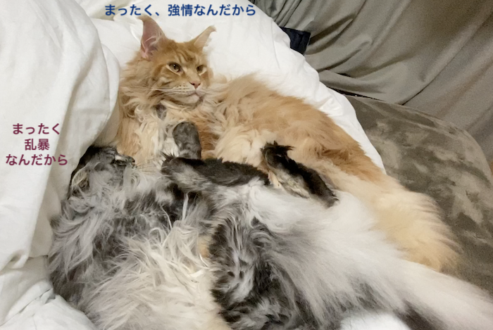 f:id:chikojirou:20200108220425p:plain