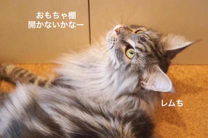 f:id:chikojirou:20200110220410j:plain