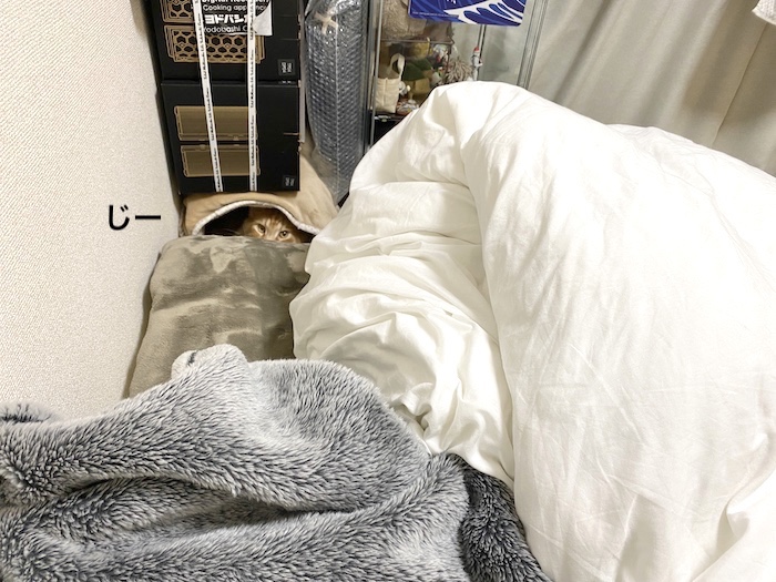 f:id:chikojirou:20200110220420j:plain